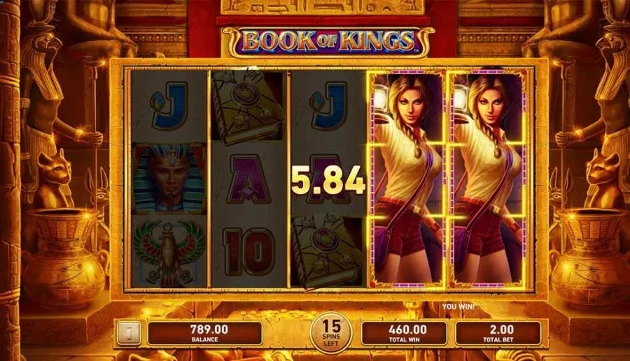Book of Kings 1x2gaming Vodds