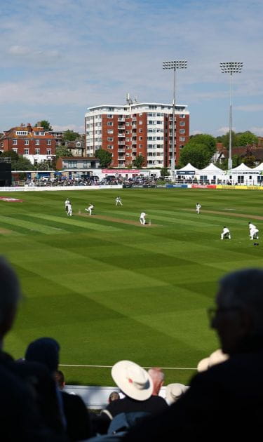 Cricket